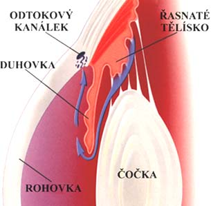 Nitrooční tekutina 